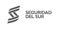 seguridad-sur-cliente