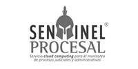 sentinel-procesal-cliente
